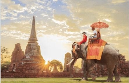 elephant ride on a thailand honeymoon